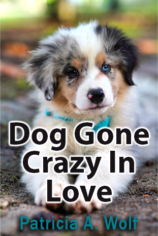 Dog Gone Crazy In Love