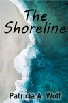 The Shoreline